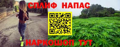 шишки Заволжье