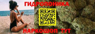 шишки Заволжье