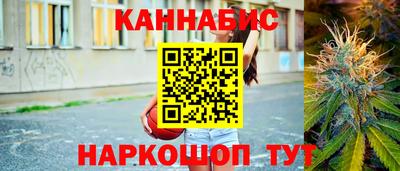 шишки Заволжье