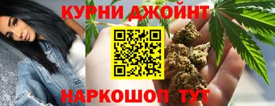 шишки Заволжье