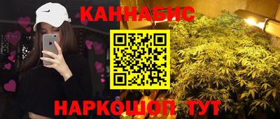 шишки Заволжье