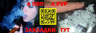 шишки Заволжье